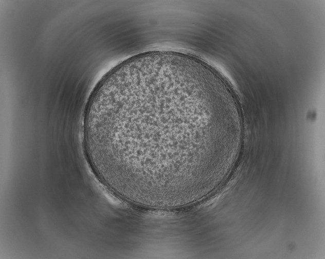X0000090861040200708171601