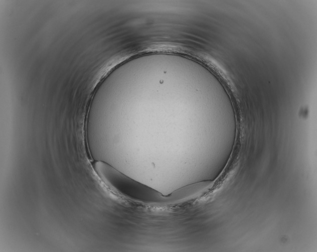 X0000090861041200708171601