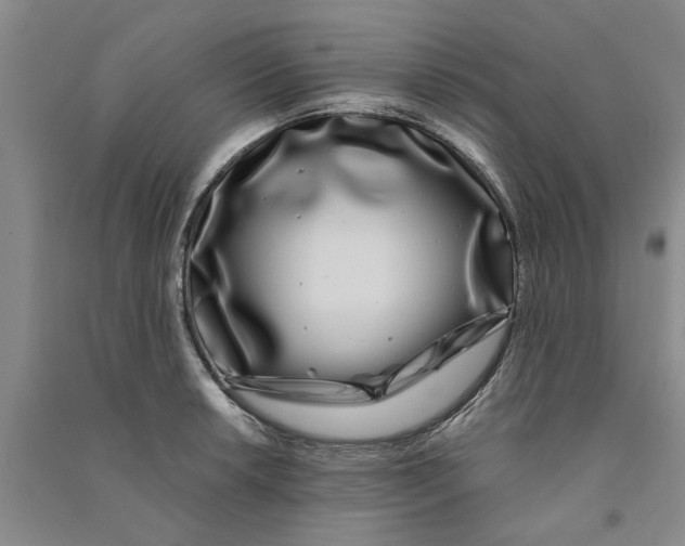 X0000090861042200708171601