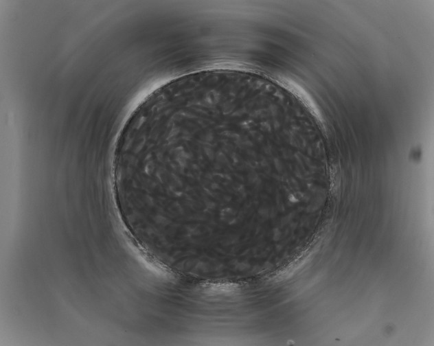 X0000090861043200708171601
