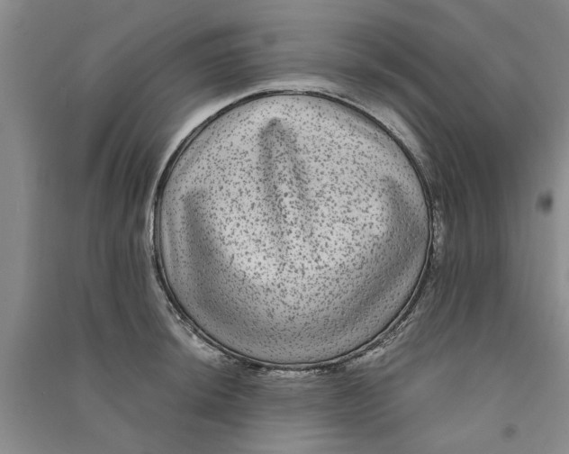 X0000090861044200708171601