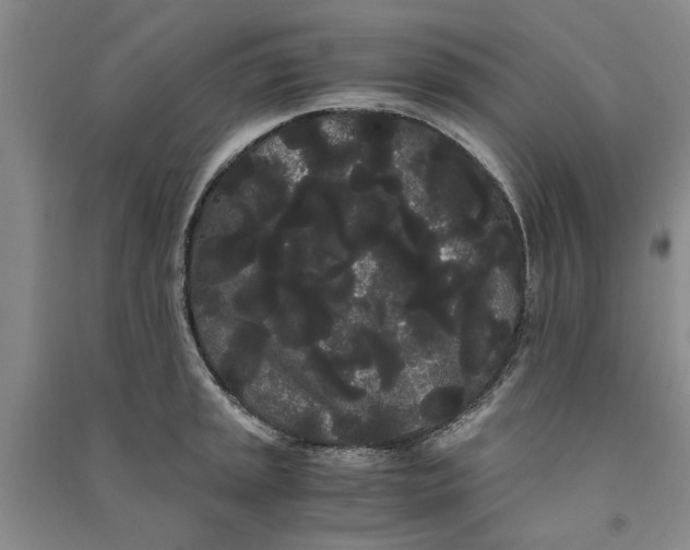 X0000090861045200708171601