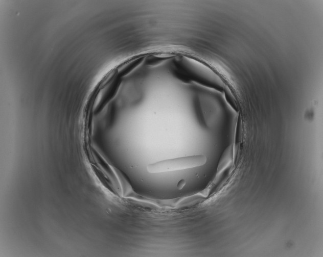 X0000090861046200708171601