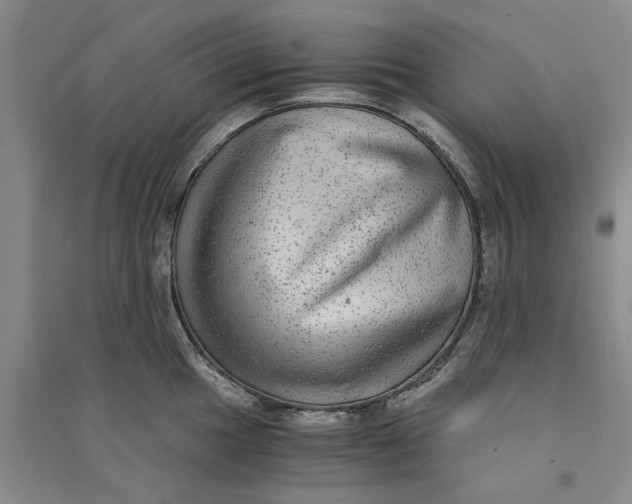 X0000090861049200708171601