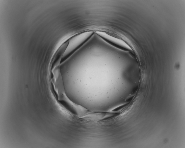 X0000090861050200708171601