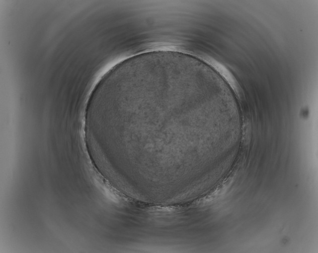 X0000090861051200708171601
