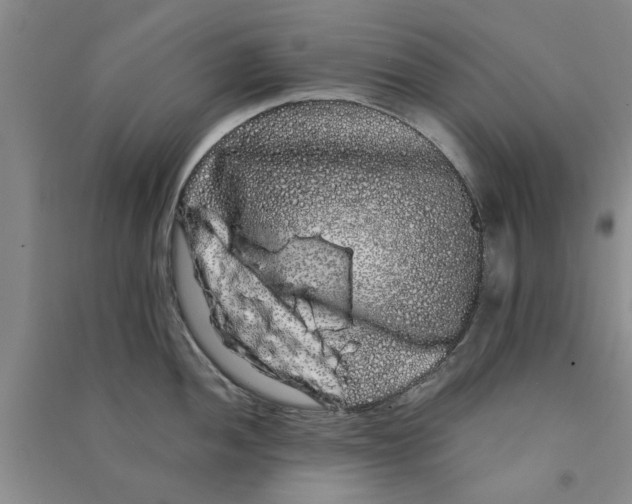 X0000090861052200708171601
