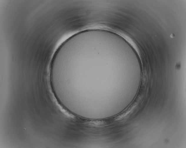X0000090861053200708171601
