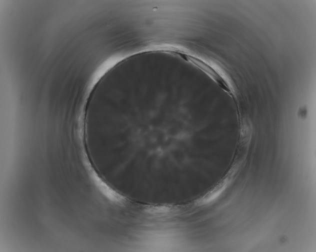 X0000090861054200708171601