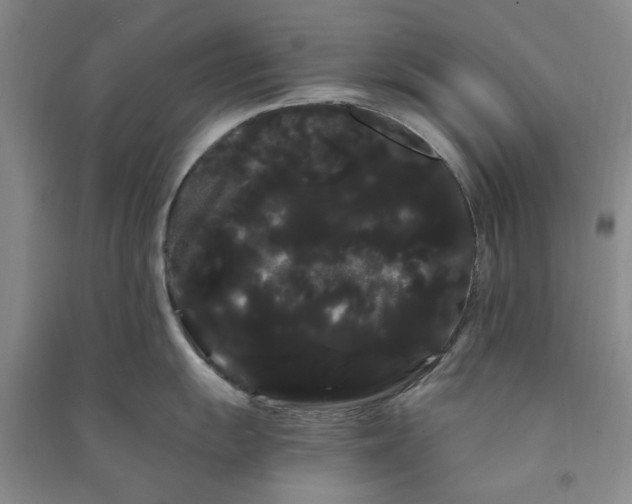 X0000090861055200708171601
