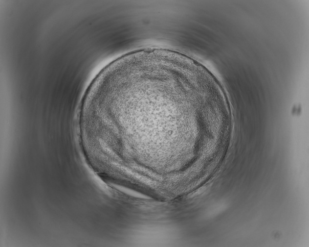 X0000090861056200708171601
