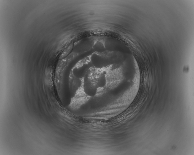 X0000090861060200708171601