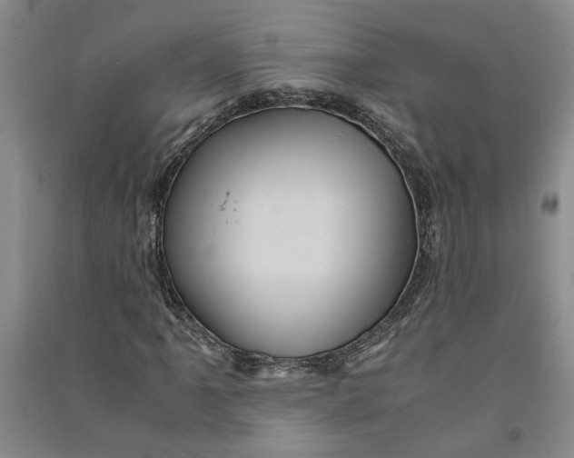 X0000090861061200708171601