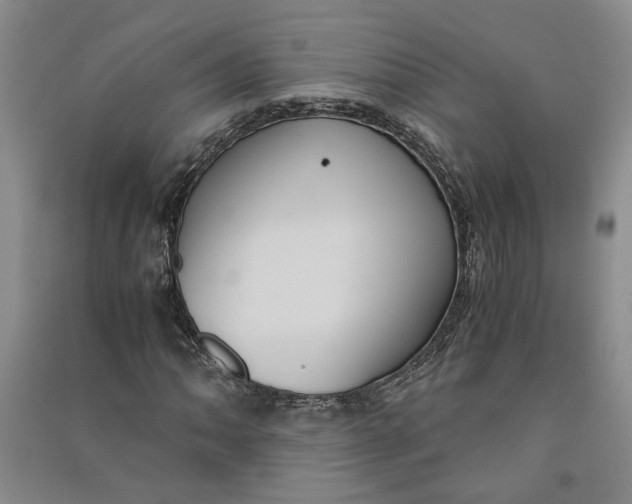 X0000090861062200708171601