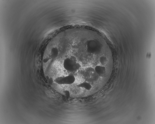 X0000090861063200708171601