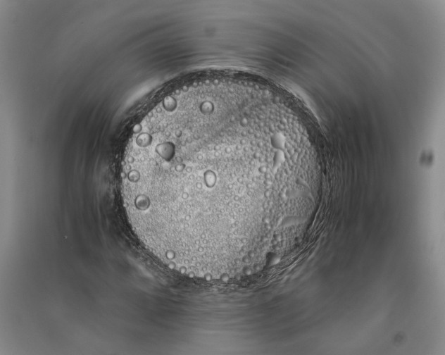 X0000090861064200708171601