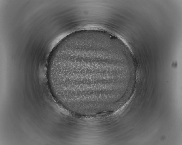 X0000090861066200708171600