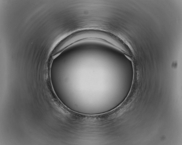 X0000090861069200708171600