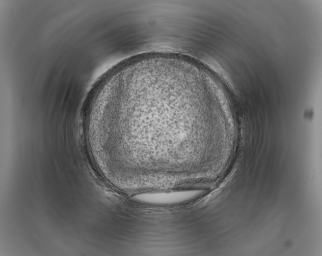 X0000090861070200708171600