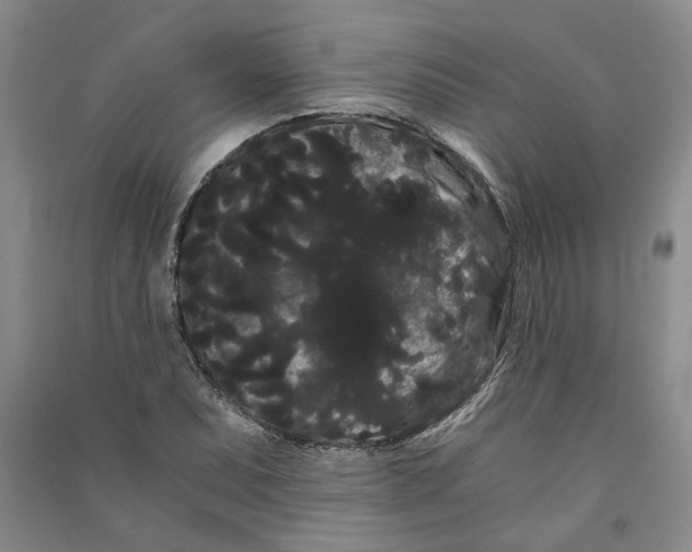 X0000090861071200708171600