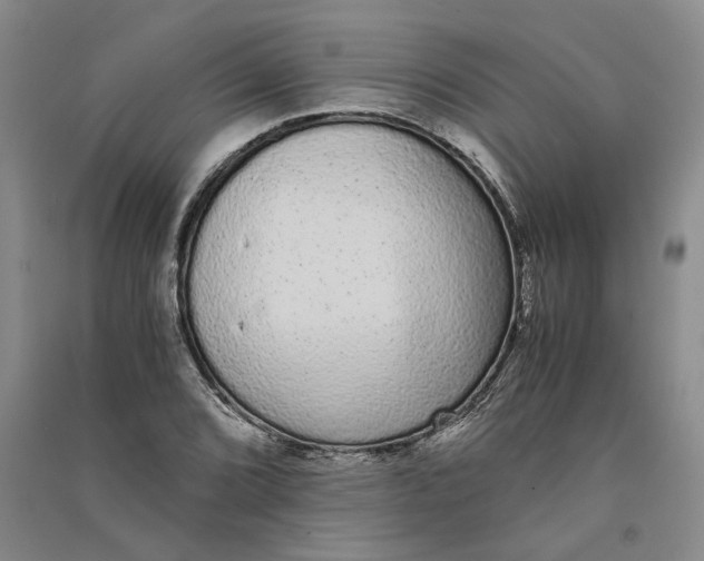 X0000090861072200708171600
