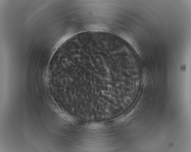 X0000090861074200708171600