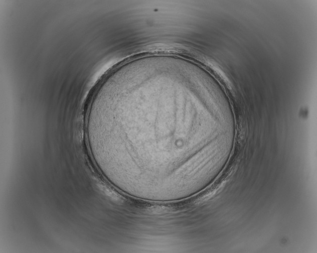 X0000090861075200708171600