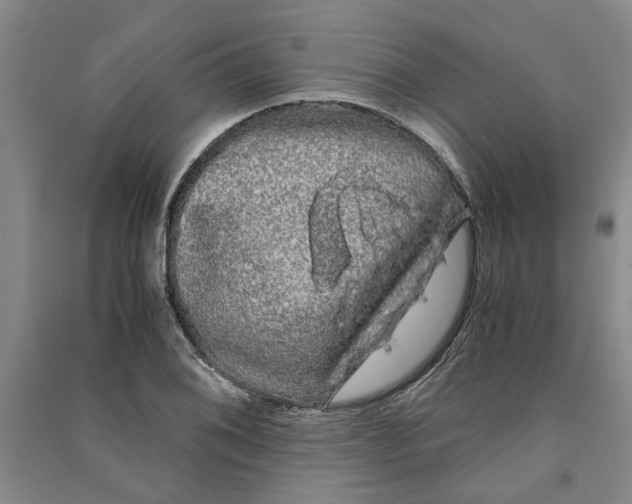 X0000090861076200708171600