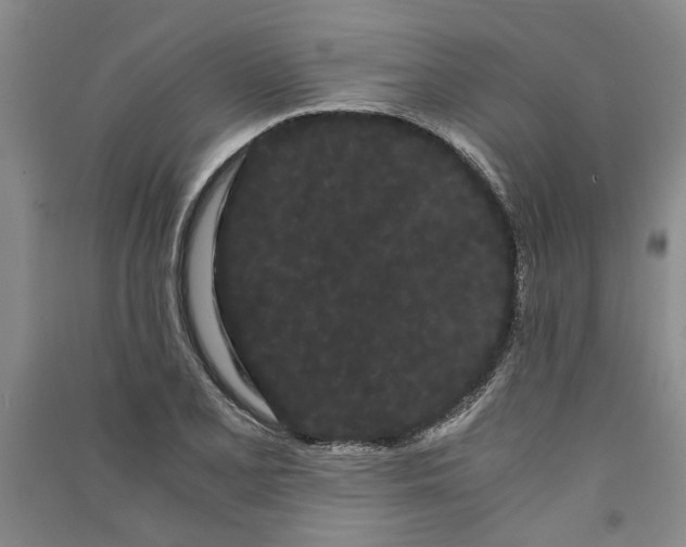 X0000090861077200708171600