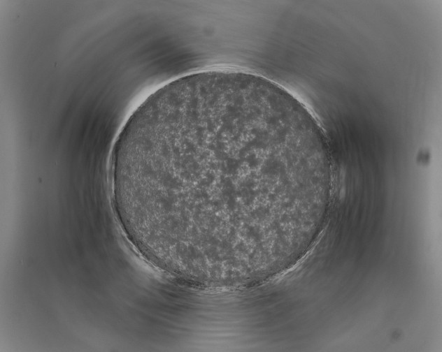X0000090861078200708171600