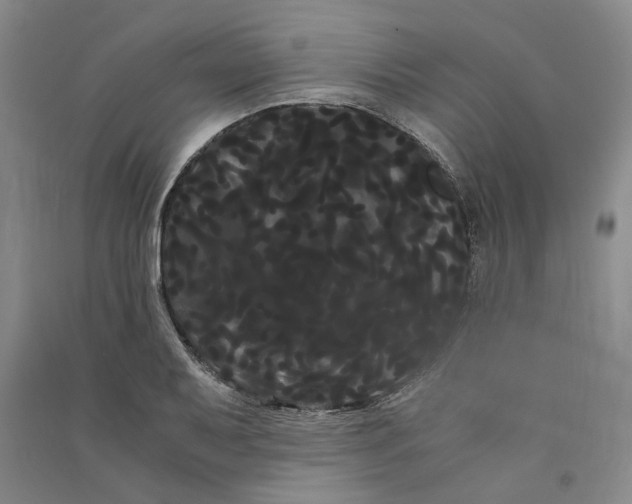 X0000090861079200708171600