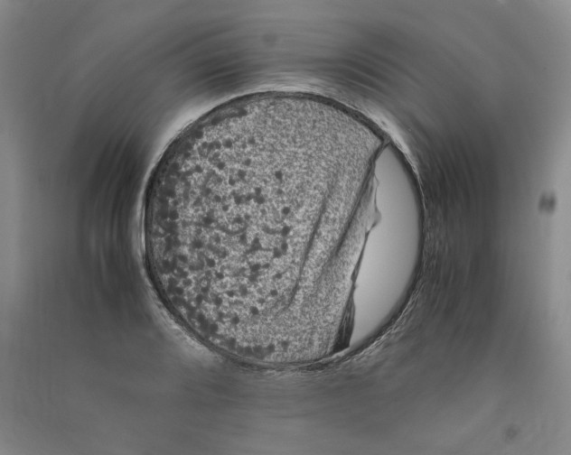 X0000090861080200708171600