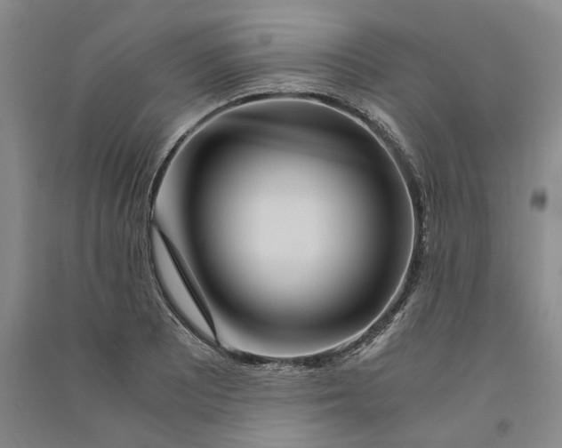 X0000090861081200708171600