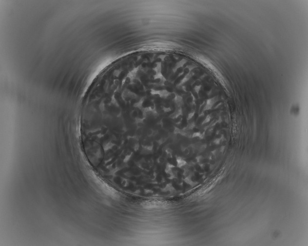 X0000090861083200708171600