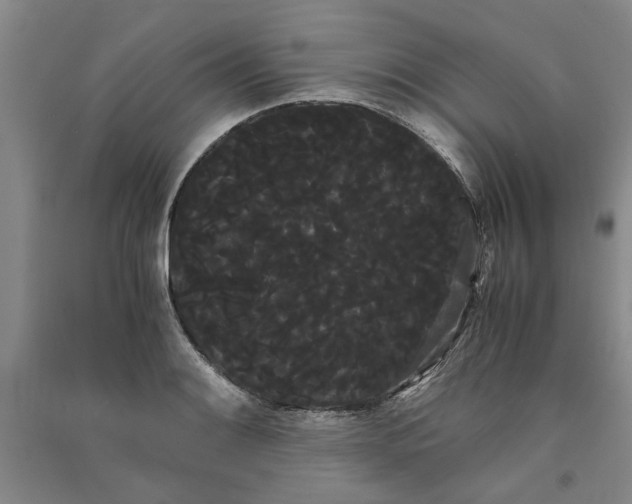 X0000090861084200708171600