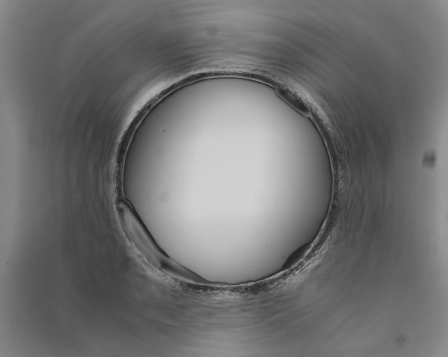 X0000090861085200708171600