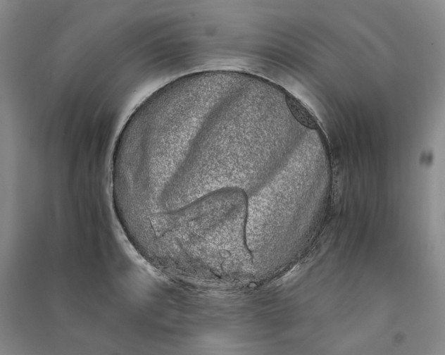 X0000090861088200708171600