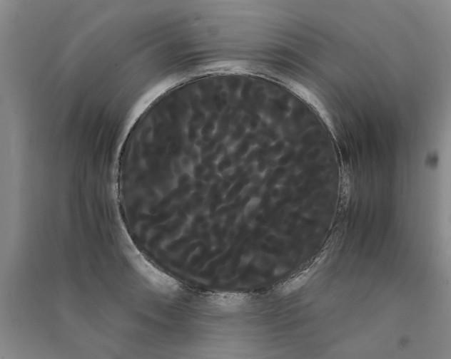 X0000090861090200708171600
