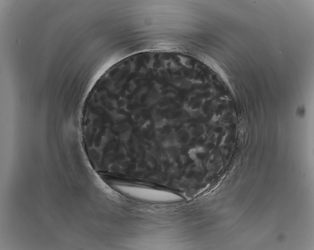 X0000090861091200708171600
