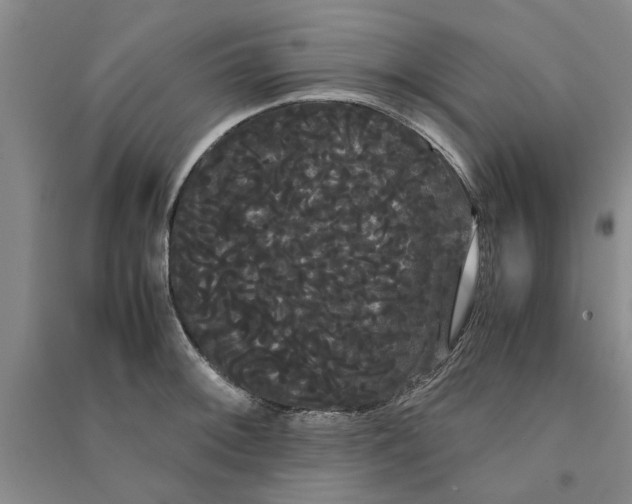 X0000090861092200708171600
