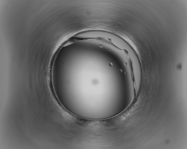 X0000090861093200708171600