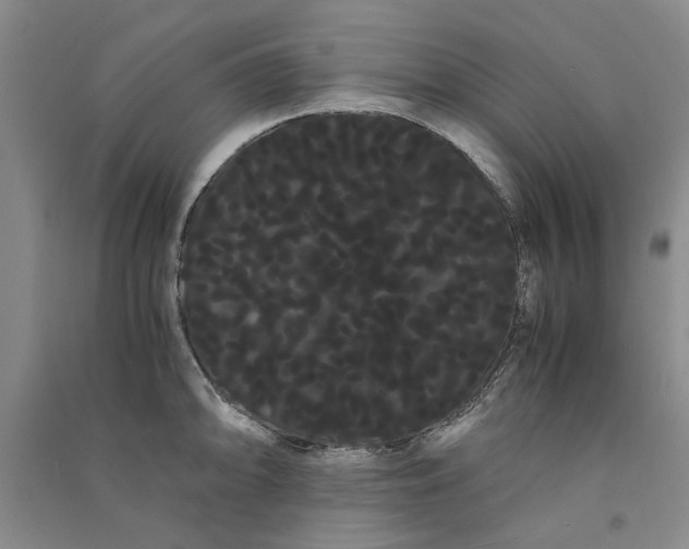X0000090861094200708171600