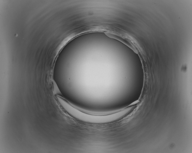 X0000090861097200708171600