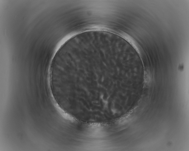 X0000090861098200708171600