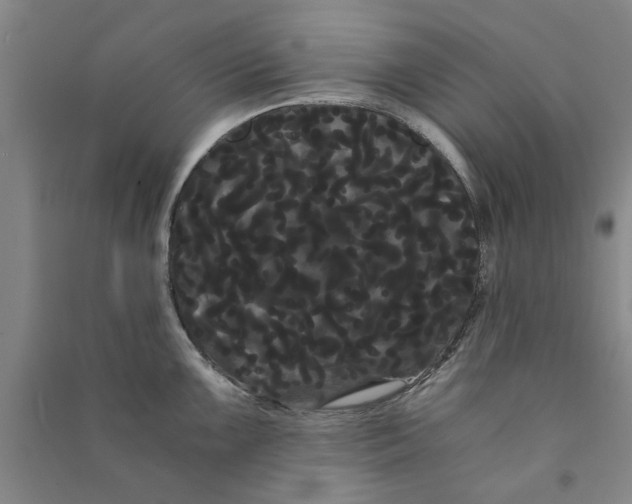 X0000090861099200708171600