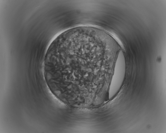 X0000090861100200708171600