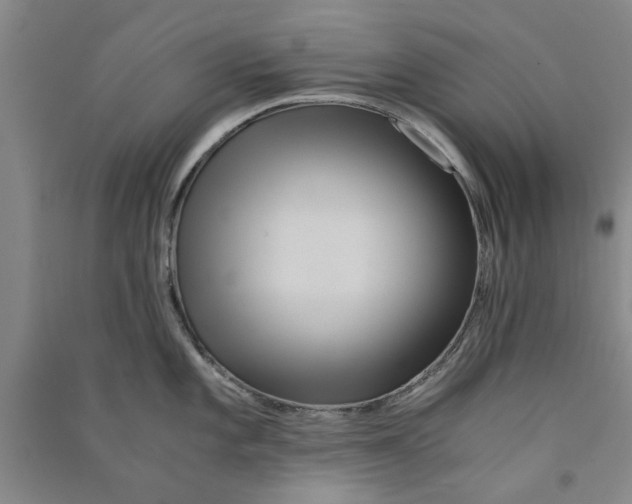 X0000090861101200708171600