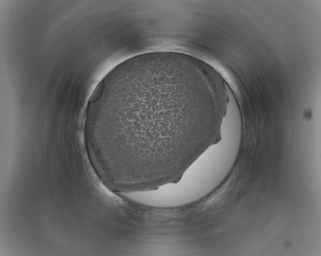 X0000090861102200708171600
