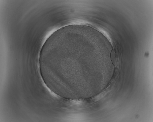 X0000090861103200708171600
