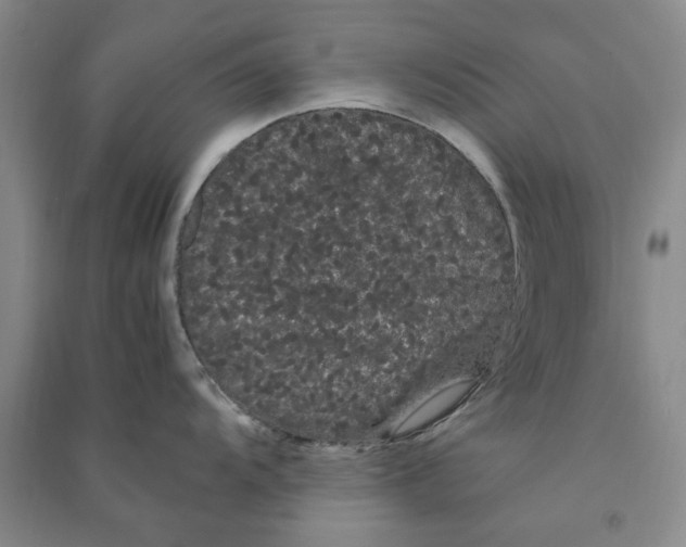 X0000090861104200708171600